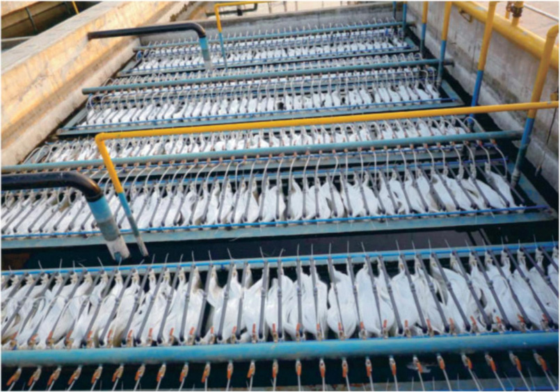 MBR膜生物反应器