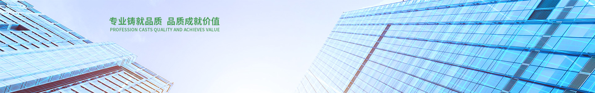 专业污水处理设备