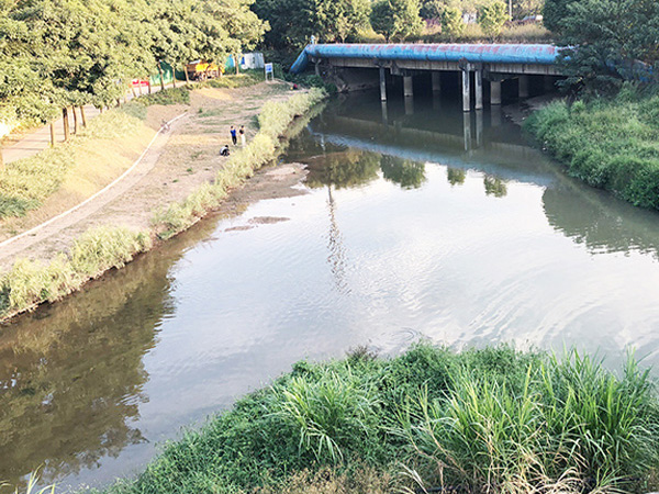 某城镇污水处理项目