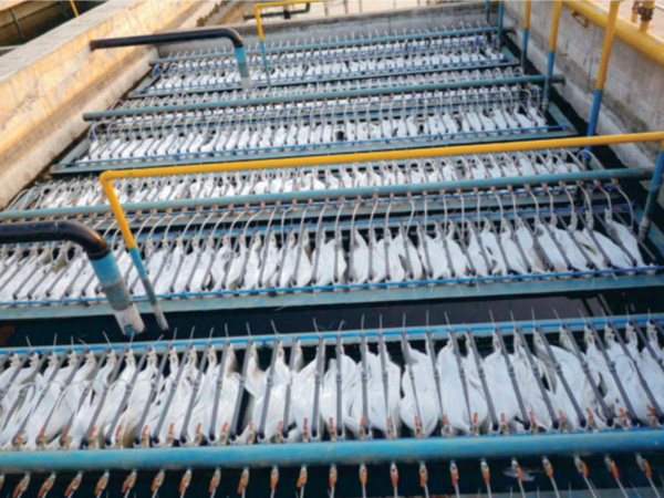 MBR膜生物反应器